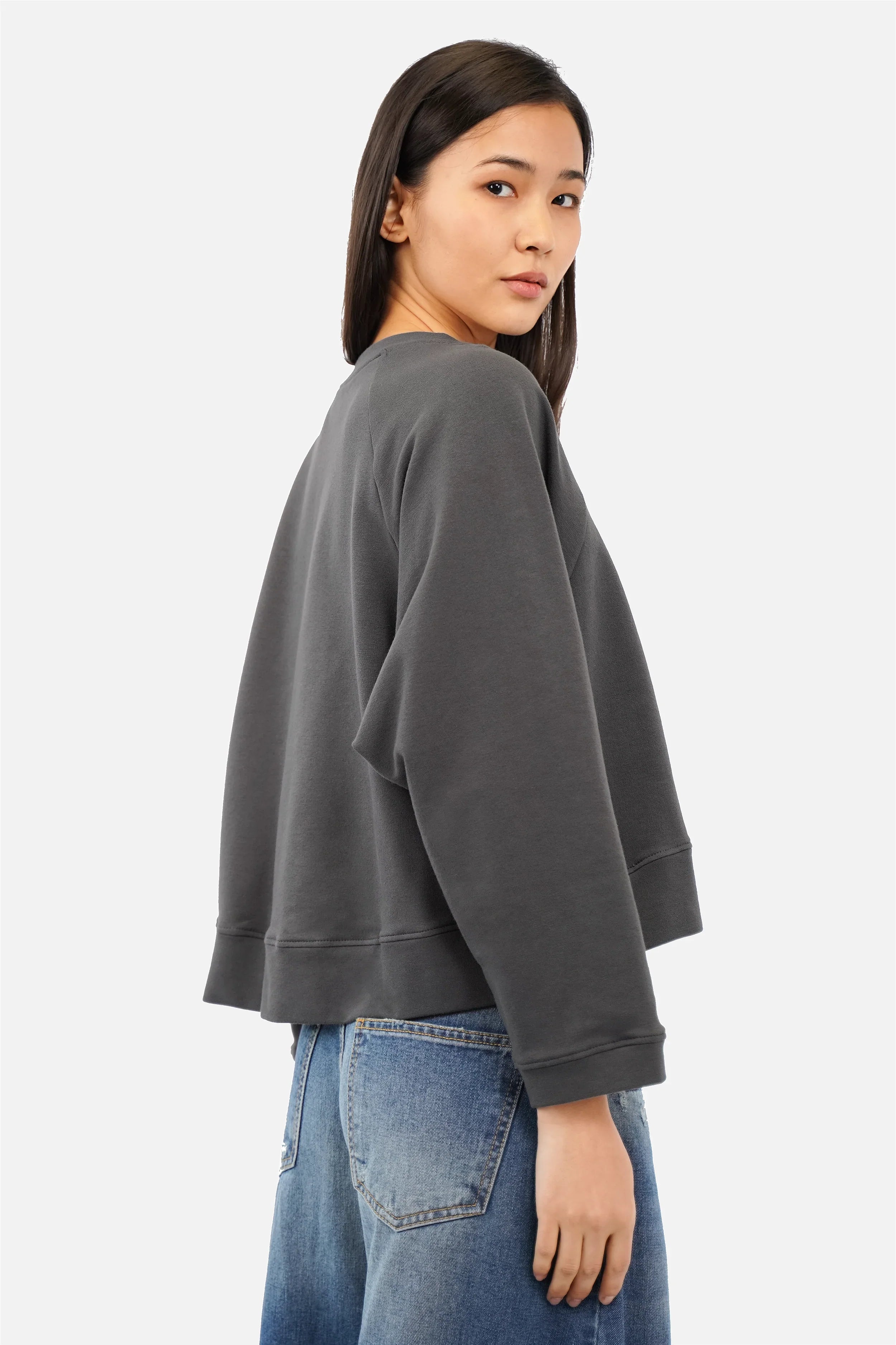 Beiger ADEA Sweater mit Rundhalsausschnitt, Raglanärmeln und Logo-Stickerei in Oversize-Passform