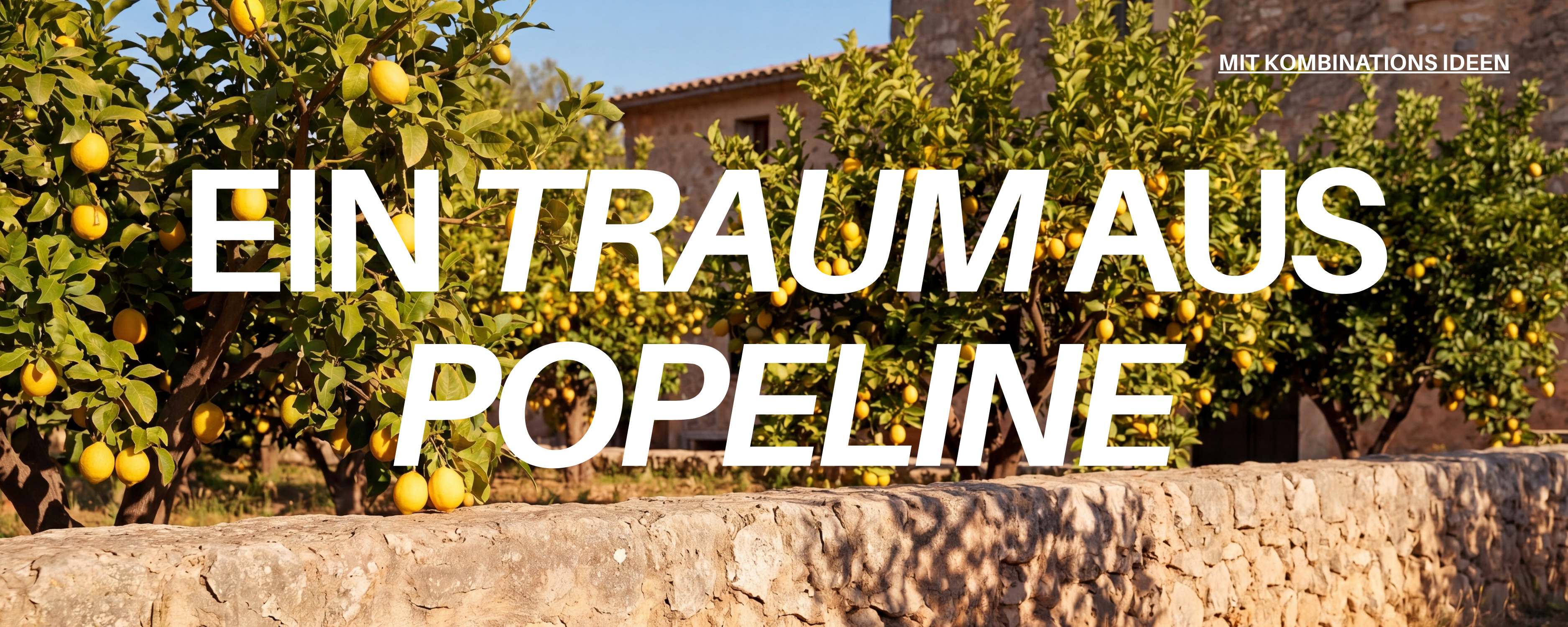Ein Traum aus Popeline