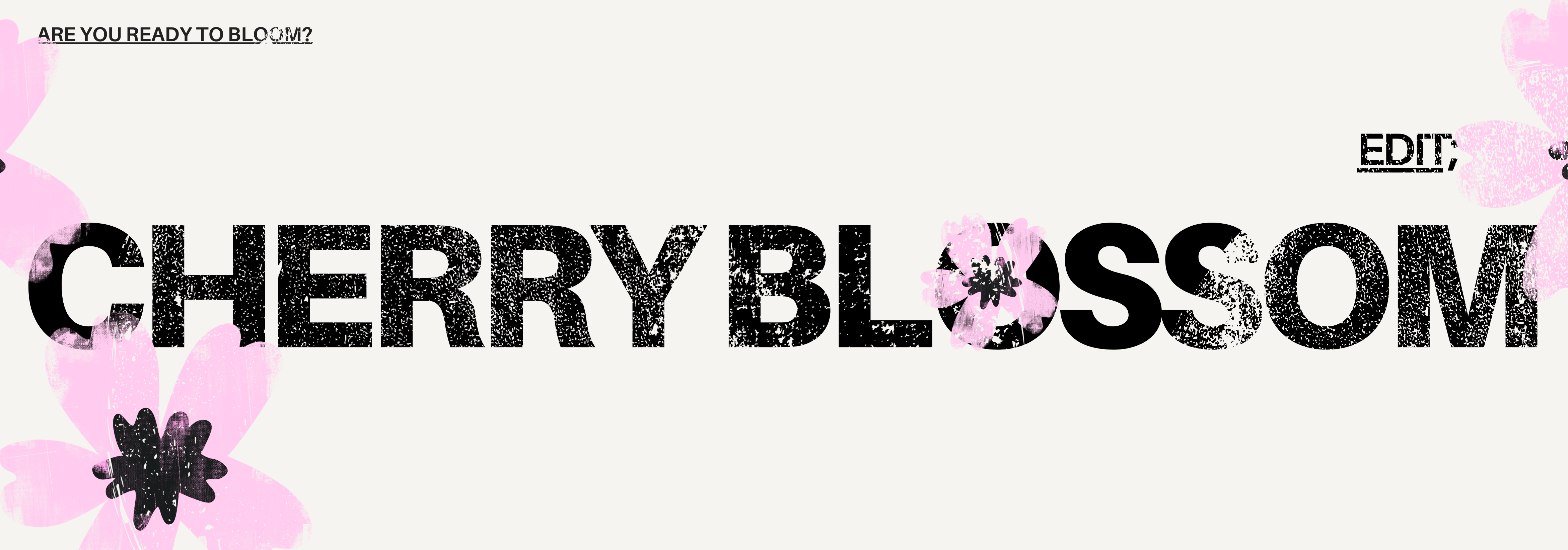 Cherry Blossom
