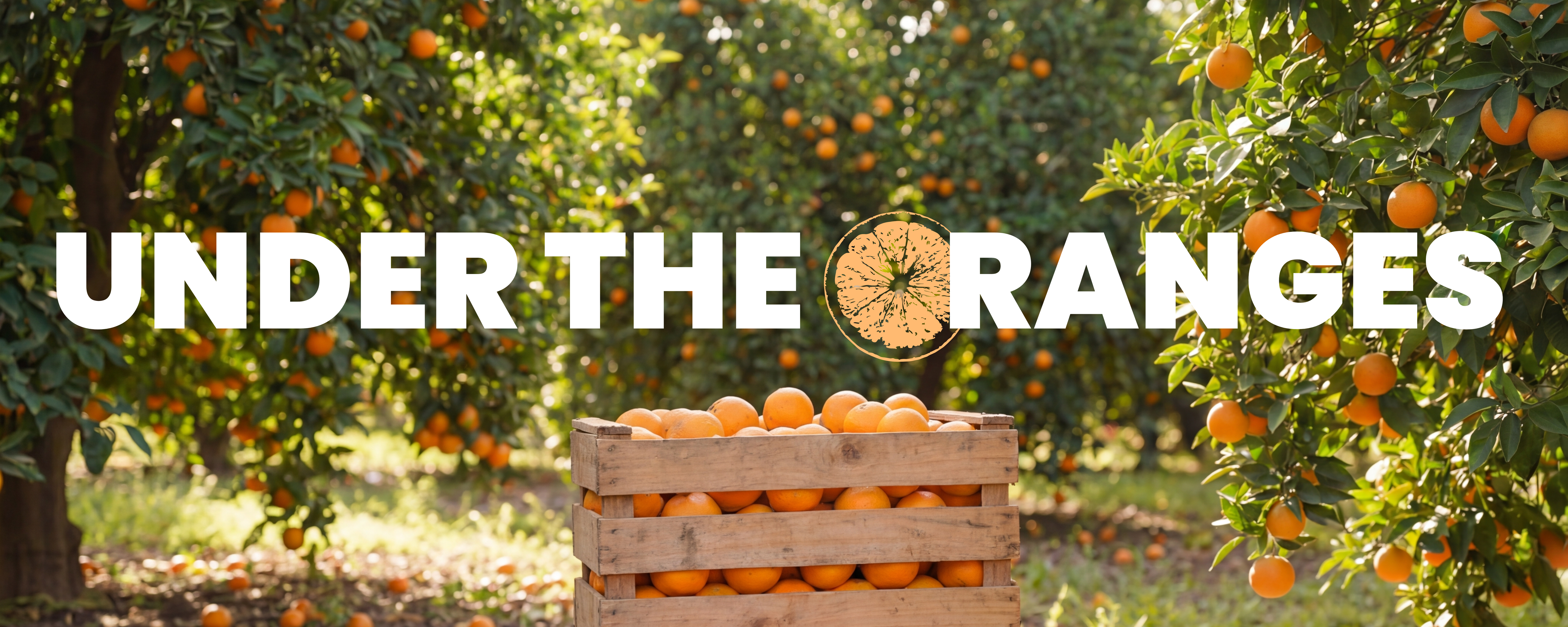UNDER THE ORANGES