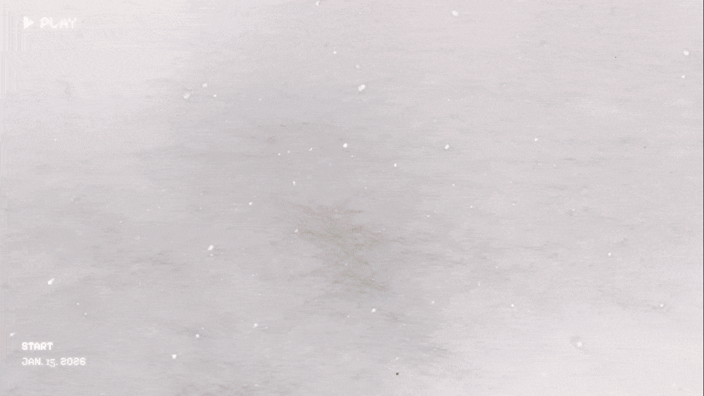 Entdecke unsere neuen Styles