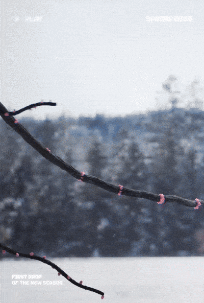 Die neue Early Bloom Kollektion